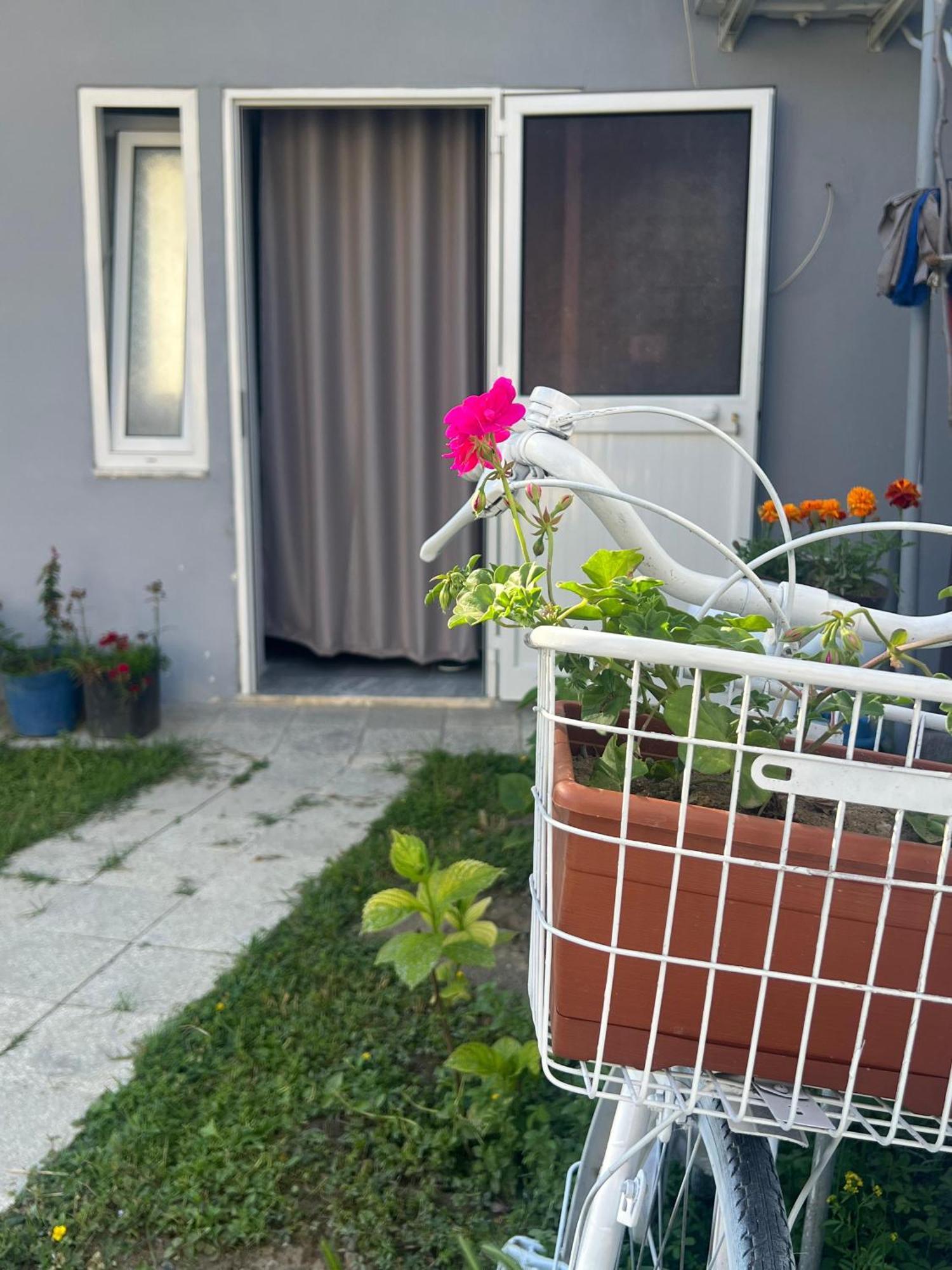 Happy Corner Guest House Σκόδρα Εξωτερικό φωτογραφία